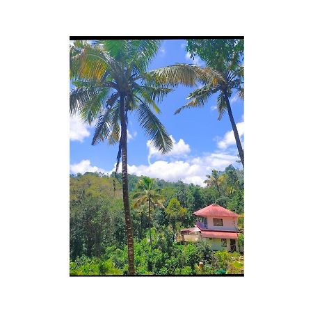 Athens Cottage Munnar Esterno foto
