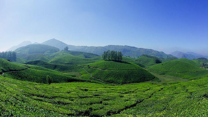 Athens Cottage Munnar Esterno foto