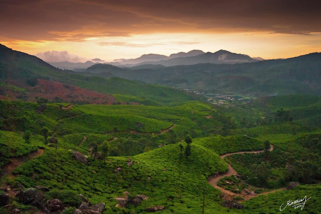 Athens Cottage Munnar Esterno foto