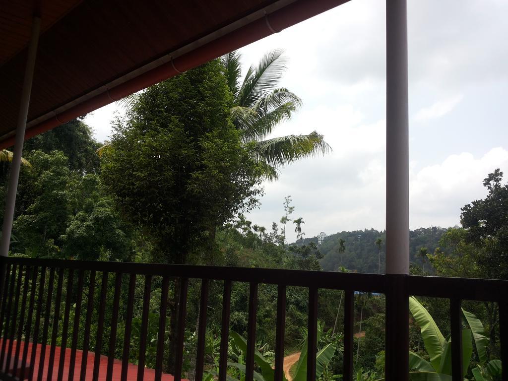 Athens Cottage Munnar Esterno foto