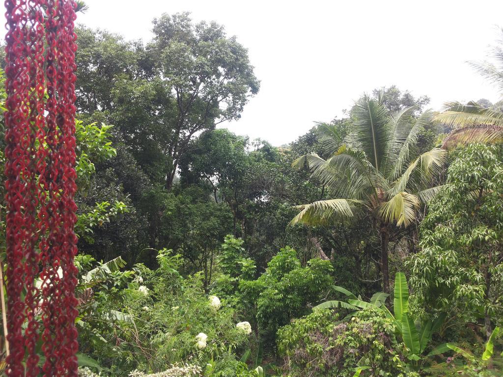 Athens Cottage Munnar Esterno foto