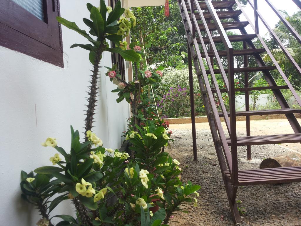 Athens Cottage Munnar Esterno foto