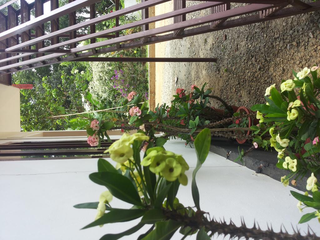 Athens Cottage Munnar Esterno foto