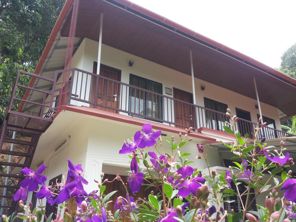 Athens Cottage Munnar Esterno foto